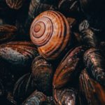 philipp-deus-CS1lesKltIE-unsplash