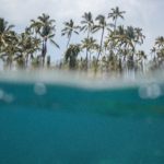 jeremy-bishop-KXqHt7h6ESQ-unsplash
