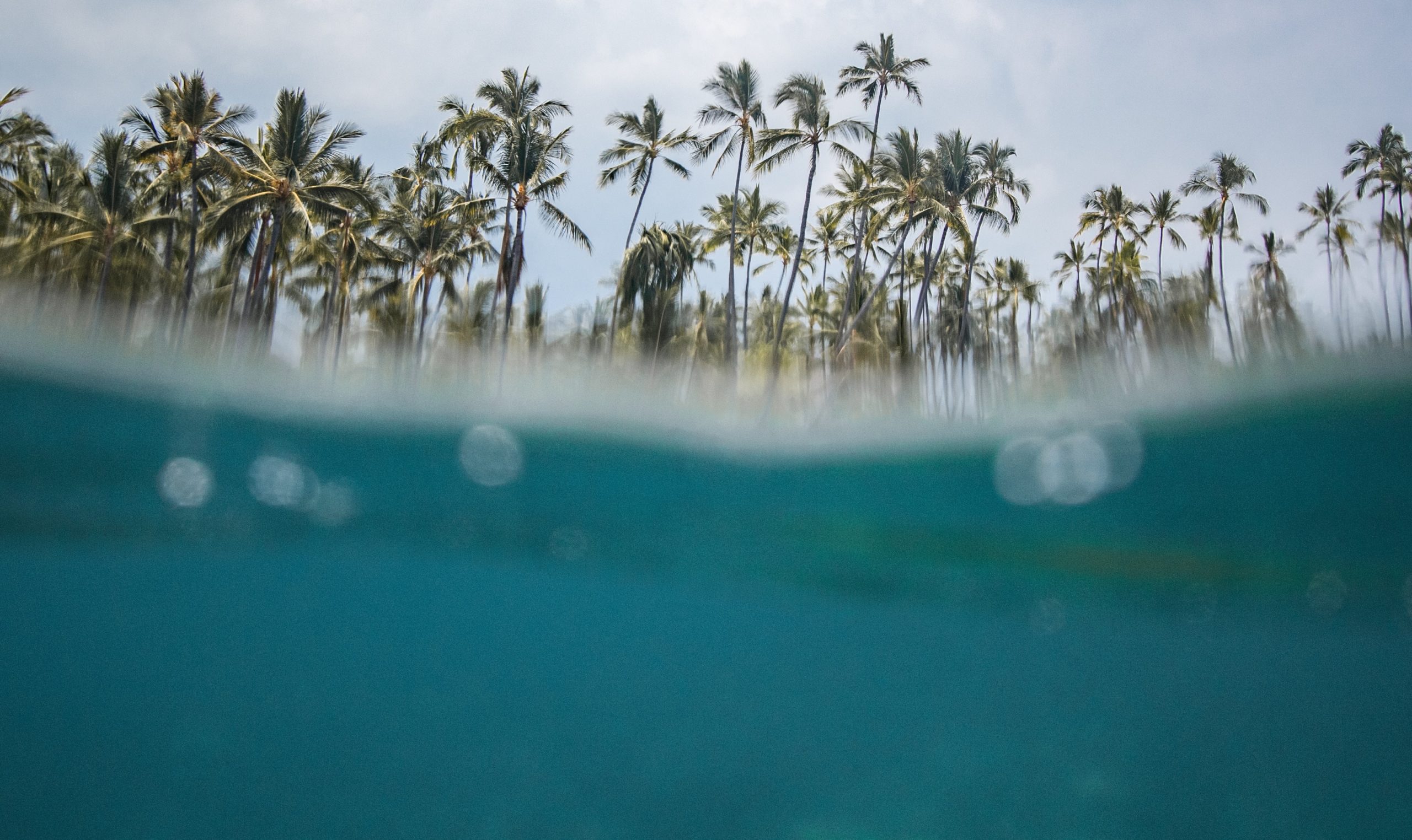 jeremy-bishop-KXqHt7h6ESQ-unsplash