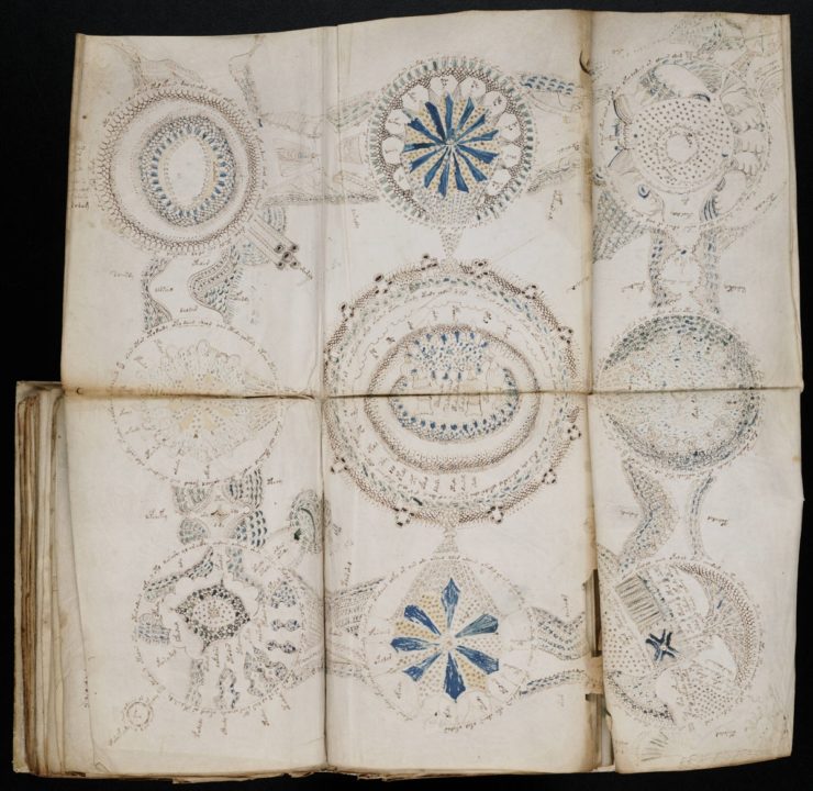 その他 THE VOYNICH MANUSCRIPT The Unread: The Mystery of the Voynich Manuscript | The New