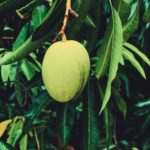 suraj-r-PnixkxODdYM-unsplash