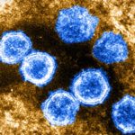 novel coronavirus