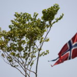 A Jatoba tree, originally from the Amazon, is placed in front of the Norwegian Embassy, during a protest by activists seeking symbolic refugee status for the plant, in Brasilia