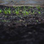 markus-spiske-71uUjIt3cIs-unsplash