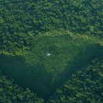 An aerial view of a clearing at a forest in Indonesia's Sumatra island