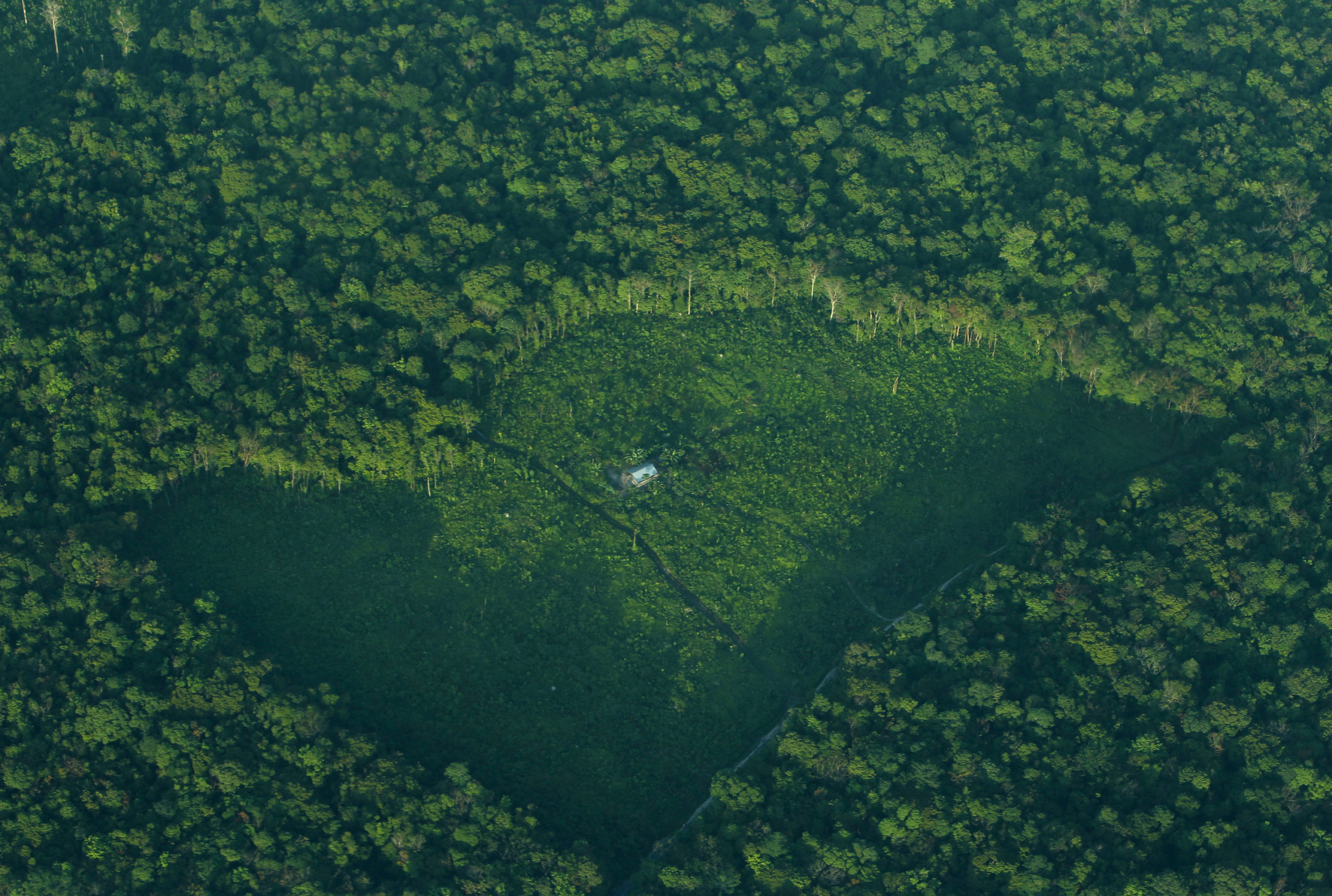 An aerial view of a clearing at a forest in Indonesia's Sumatra island