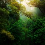kunal-shinde--f0YLss50Bs-unsplash