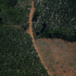 Forest fires in the Amazon rainforest in Brazil