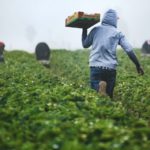 tim-mossholder-xDwEa2kaeJA-unsplash
