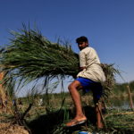 The Wider Image: "Our whole life depends on water" climate change, pollution and dams threaten Iraq's Marsh Arabs