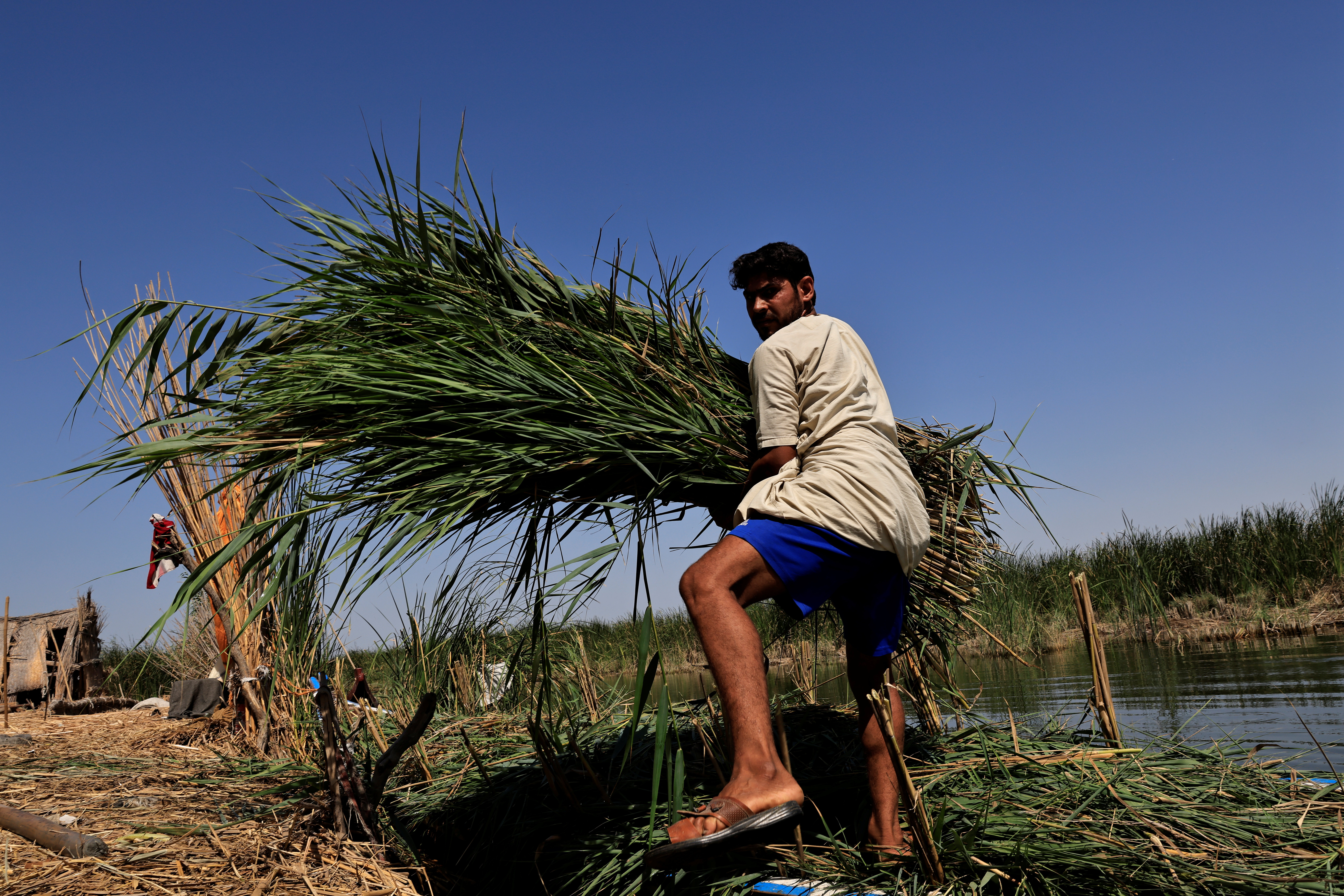 The Wider Image: "Our whole life depends on water" climate change, pollution and dams threaten Iraq's Marsh Arabs