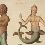 mermaid