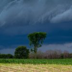 dave-hoefler-suf2PfBNdx4-unsplash
