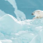 annie-spratt-CpnH4FfNBUw-unsplash