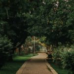 dollar-gill-PWZRdZuiQEA-unsplash
