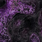 national-cancer-institute-zoFbfT0M_BU-unsplash