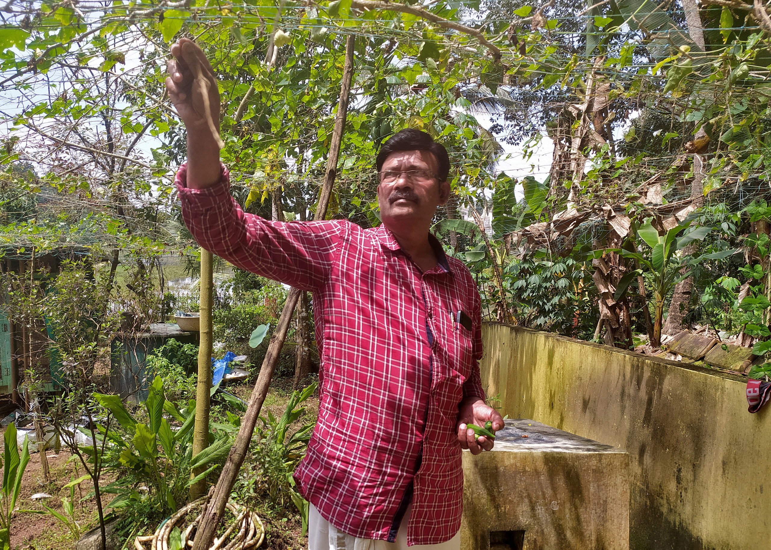 Sugathan P.R. collects vegetables in his kitchen garden in Pandalam village, Kerala