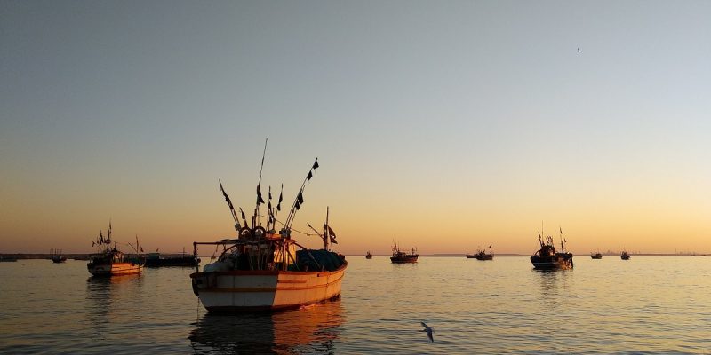 How Climate Change, Geopolitics Are Linked to the Tragedy of a Pakistani Fisherman - Vimarsana News