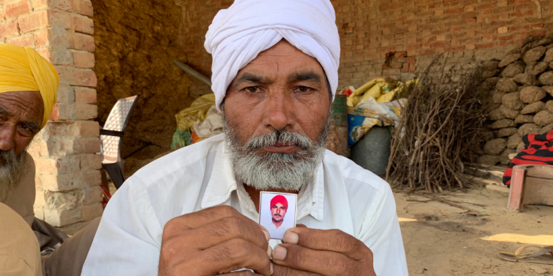 In Punjab and Haryana, Acres of Infestation Leave Cotton Farmers Devastated - Vimarsana News