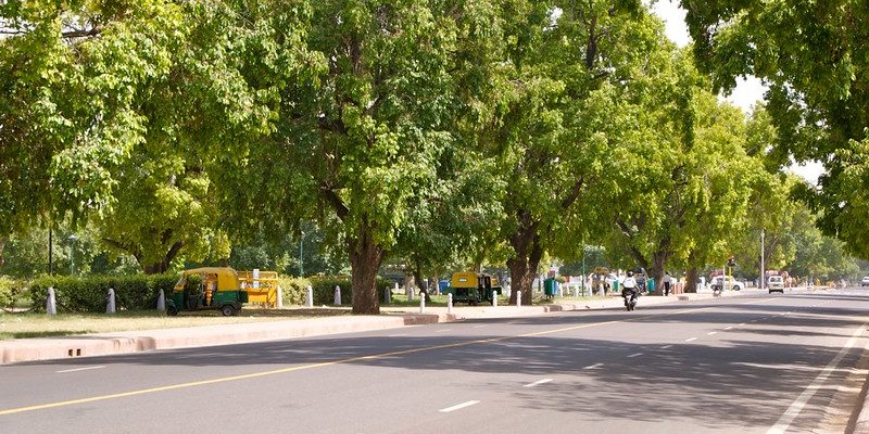 Delhi Colonies Clear Trees to Make Room for Cars. A Forest Official Thinks That's a Bad Idea. - Vimarsana News