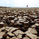 FILE PHOTO: Person walks along cracks at the partly dried up Devegecidi Dam, northwest of Diyarbakir