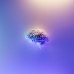 fakurian-design-58Z17lnVS4U-unsplash
