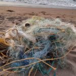 Ghost nets common sense