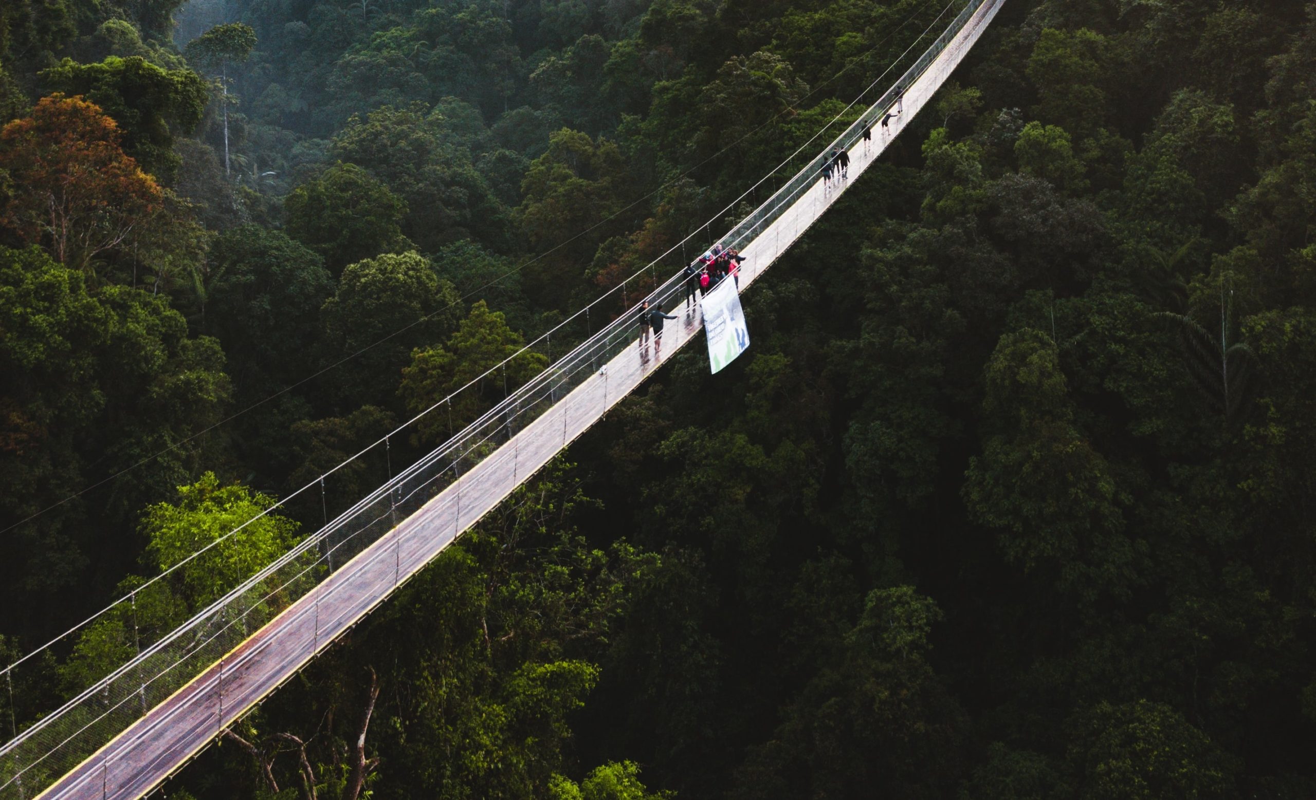 azinumoto-bg_OOc1HjEA-unsplash