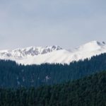 balaji-kannan-D7-uTnIurGk-unsplash