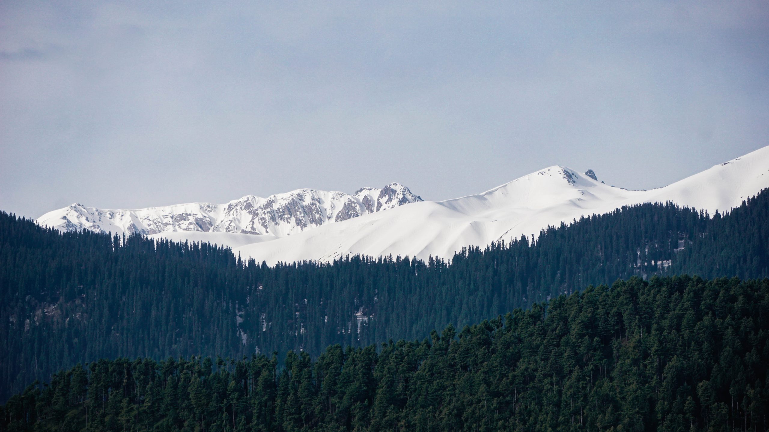 balaji-kannan-D7-uTnIurGk-unsplash