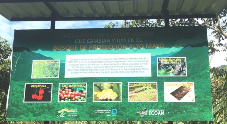 When Carbon Credits Drive People From Their Homes - Vimarsana News