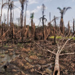 Niger-Delta-oil-disaster