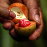 ian-yeo-zQ1FERRiUX8-unsplash