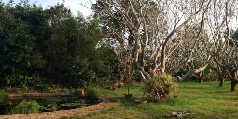 Debate: Auroville Residents Must Stop Blocking City Development Based on Personal Interests - Vimarsana News