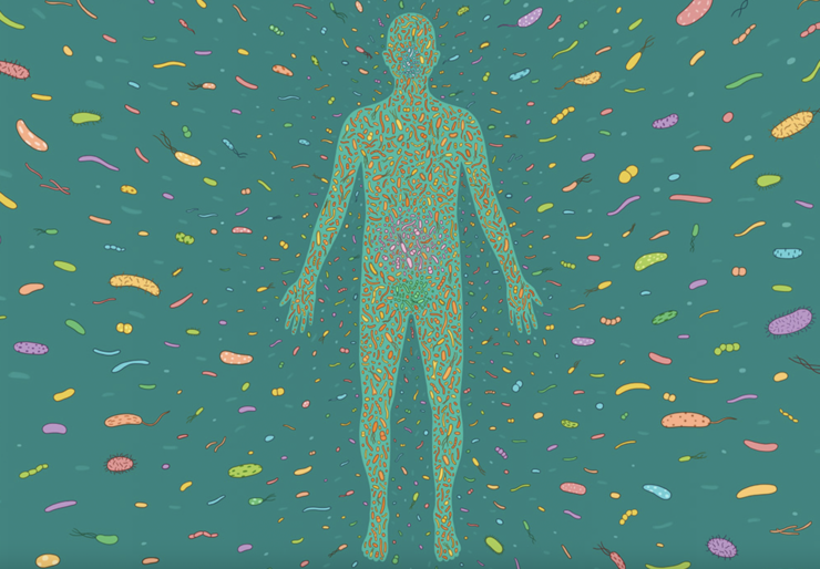 The Invisible Organ Shaping Our Lives - The Wire Science - Vimarsana News