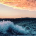 sasha-lebedeva-uFRakjdfAXA-unsplash