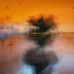 jr-korpa-vF3T5tWb31s-unsplash