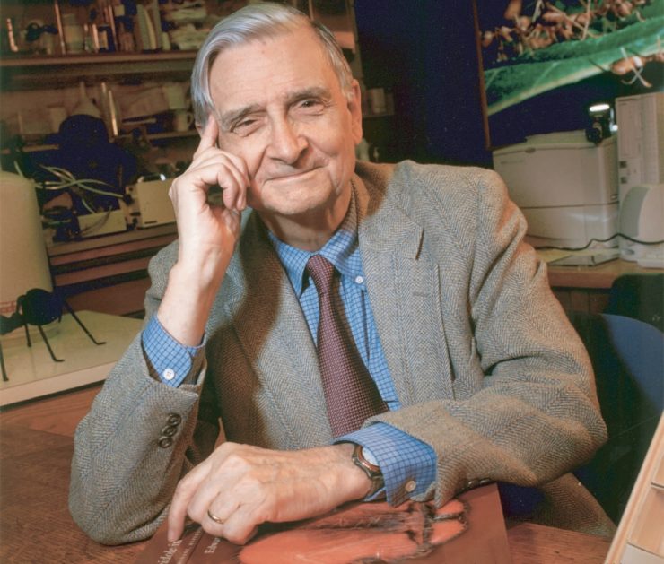 New Evidence Revives Old Questions About E.O. Wilson and Race – The Wire Science - Vimarsana News