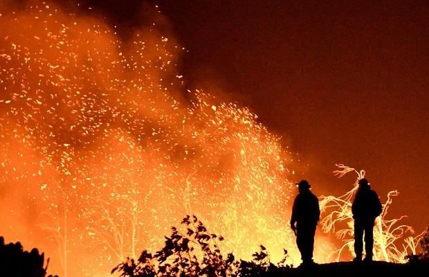 Home Lost to Wildfire, Poet Sophia Naz Explores Climate Change Through Personal Loss - Vimarsana News