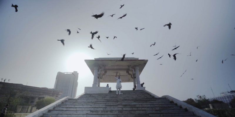 'All That Breathes', an Immersive Film That Soars But Doesn't Look Away from Grim Ground Realities - Vimarsana News