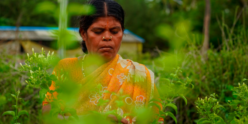 After Budget 2023, Agriculture Sector Still Waiting for the Reforms it Needs - Vimarsana News