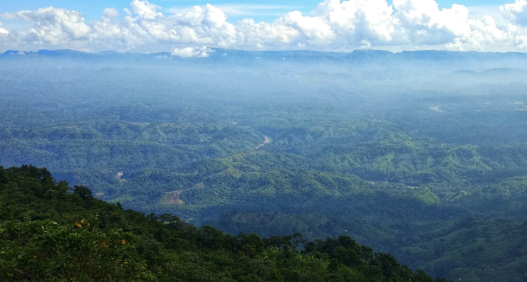 How 'Wilderness' Was Invented Without Indigenous Peoples – The Wire Science - Vimarsana News