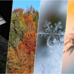 seasons
