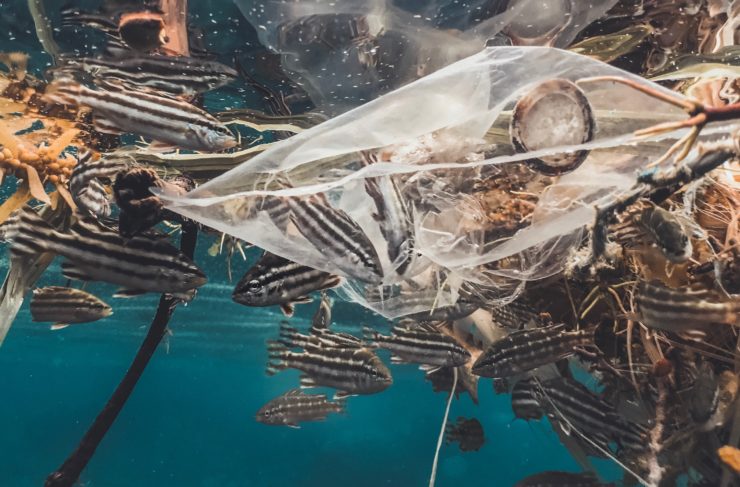Why the Plastic Waste Amendment Rules 2022 Is a Paper Tiger – The Wire Science - Vimarsana News