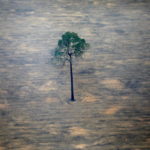 FILE PHOTO: An aerial view shows a deforested plot of the Amazon near Porto Velho