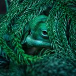 sam-2WkHX-KWtCU-unsplash