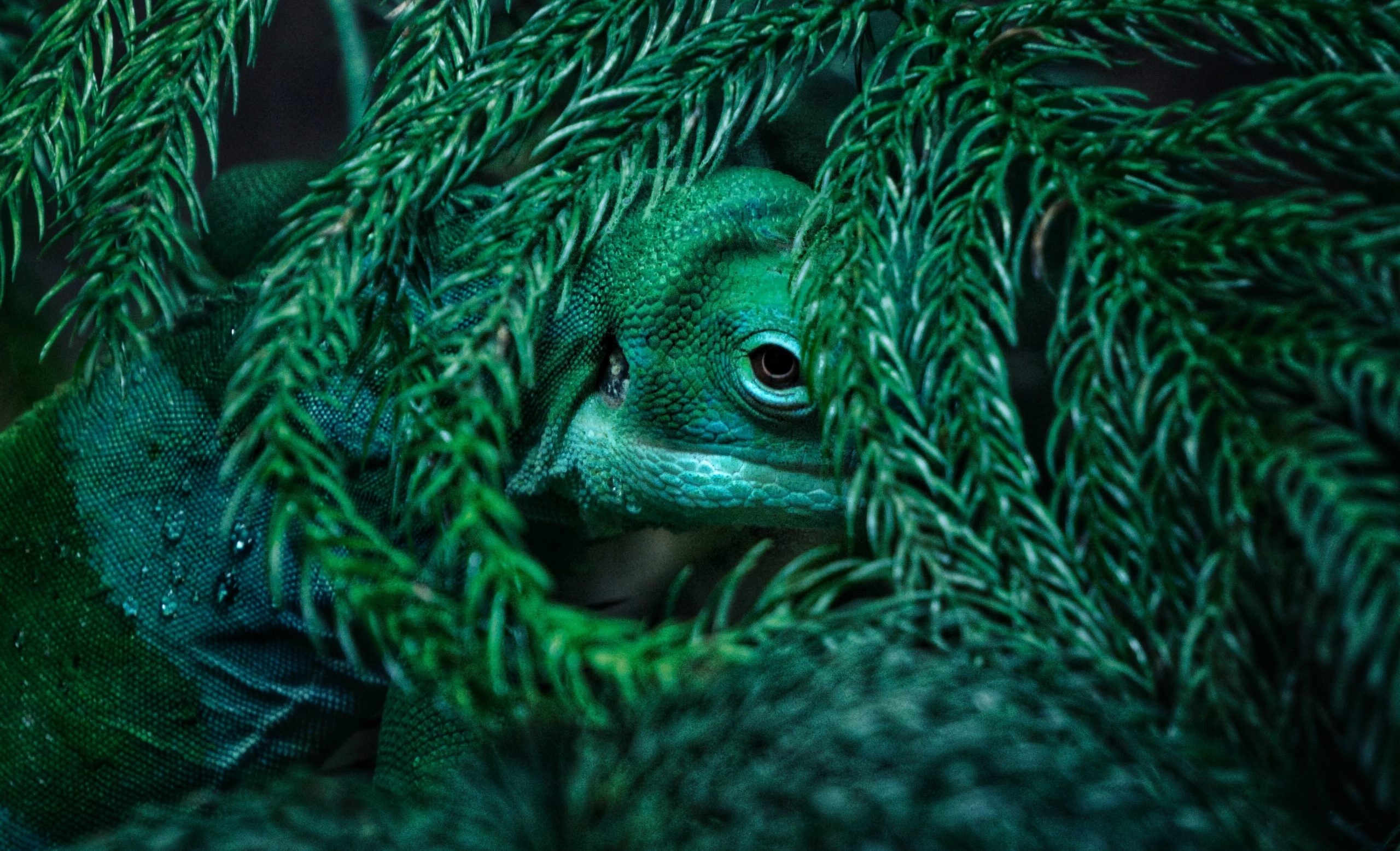 sam-2WkHX-KWtCU-unsplash