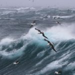 fer-nando-UMC5sfWci78-unsplash