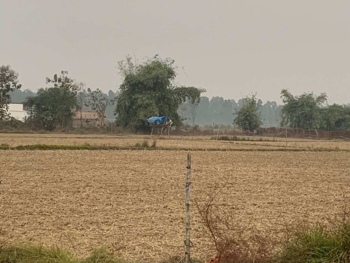 Protecting Farm Land From Animals Is a Costly Exercise for UP’s