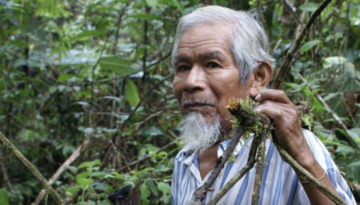Remembering Sabino Gualinga – Amazon Shaman, Defender of the 'Living Forest' – The Wire Science - Vimarsana News